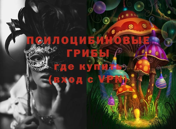 a pvp Няндома
