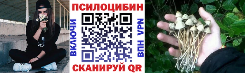 Галлюциногенные грибы Magic Shrooms Шахунья